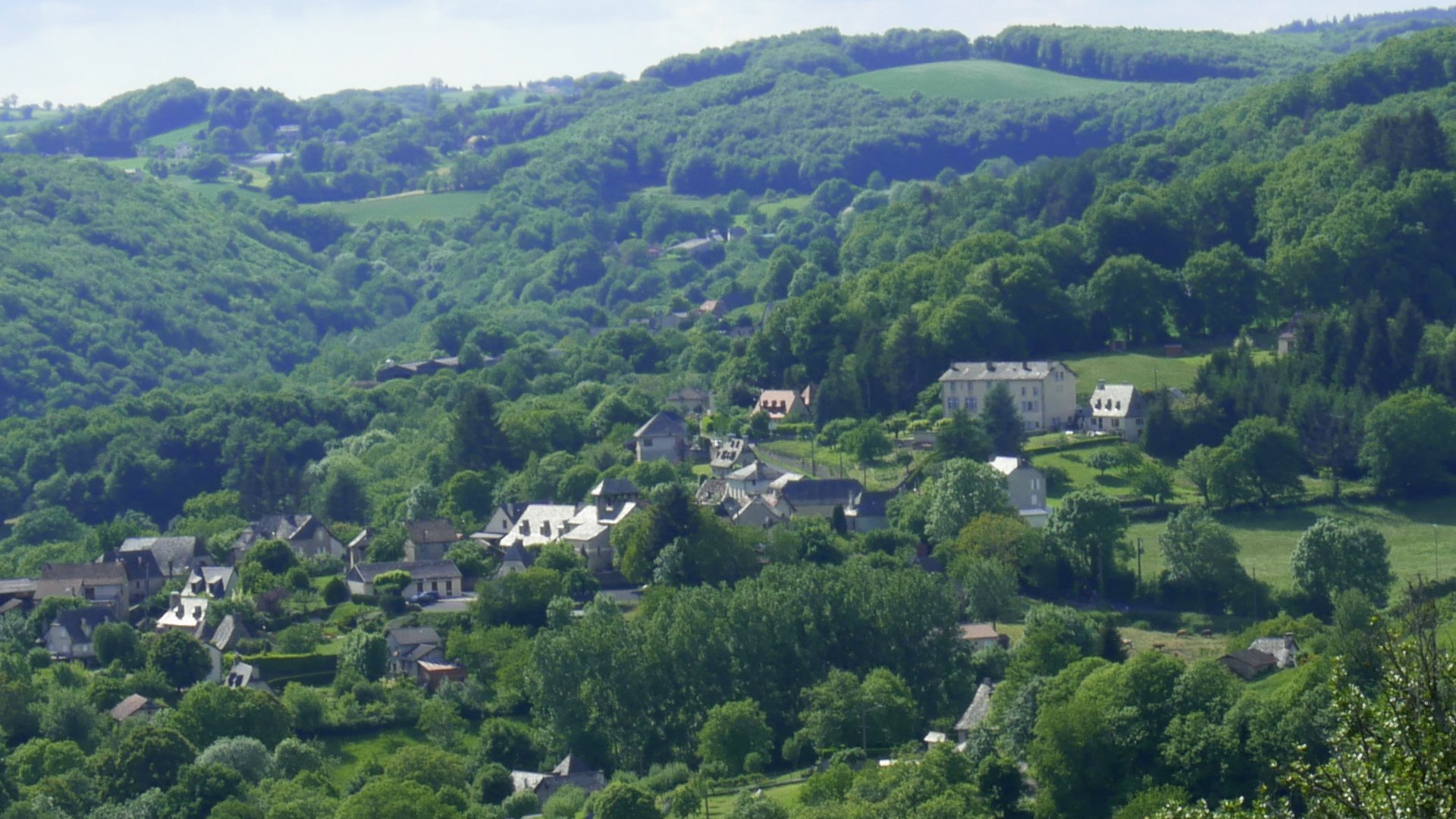 leucamp