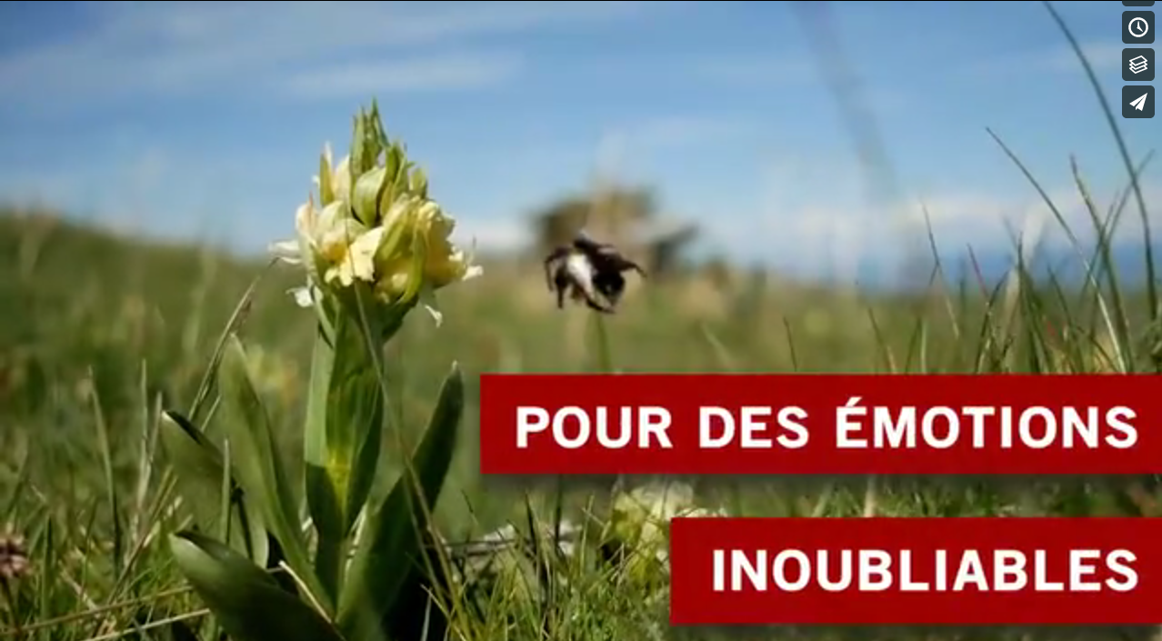 Bande annonce 2017